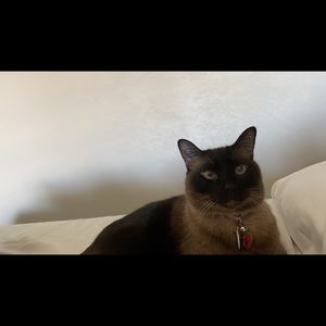 Meet your Posher, Elizabeth